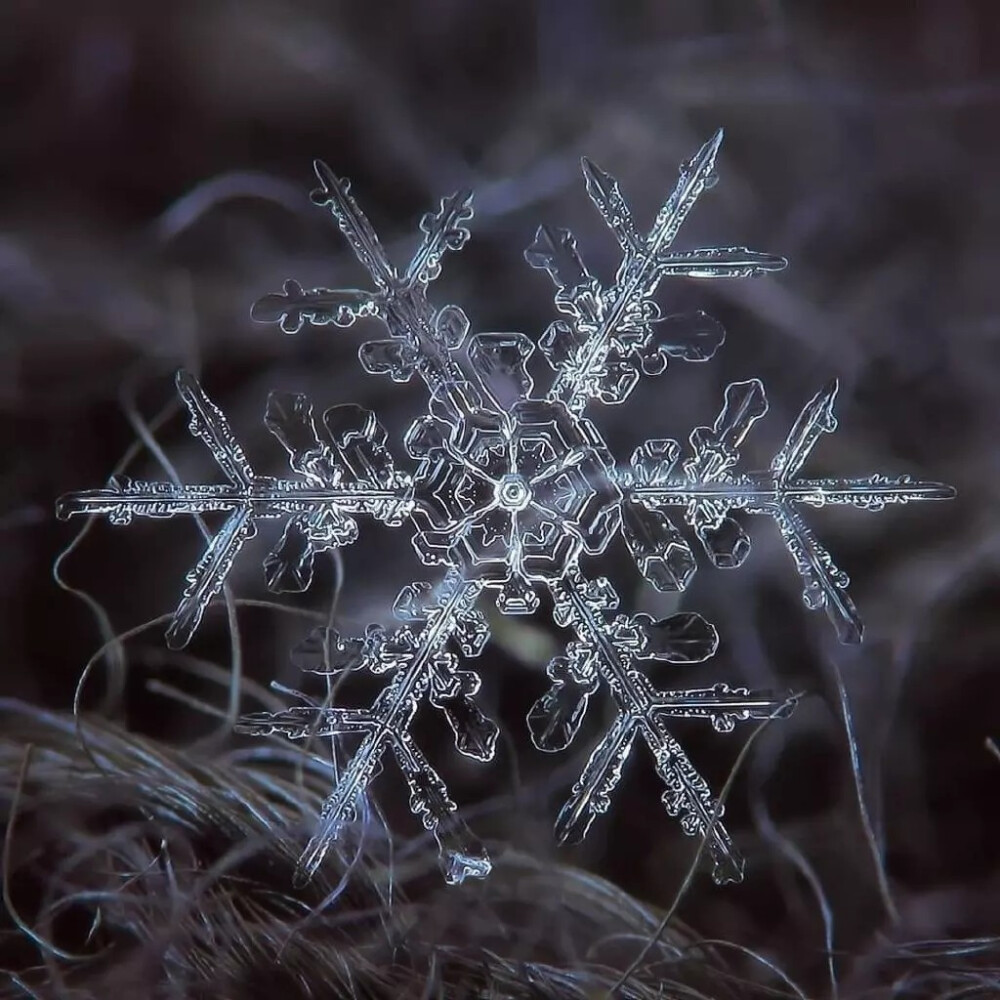 雪花纹理