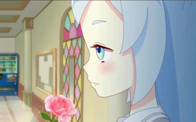 花六最新预告第一波