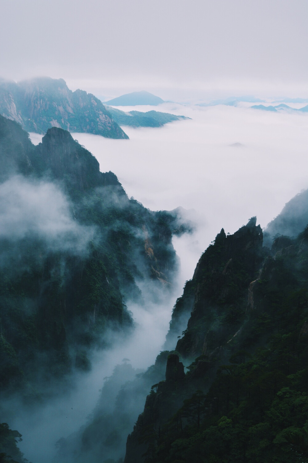 风景