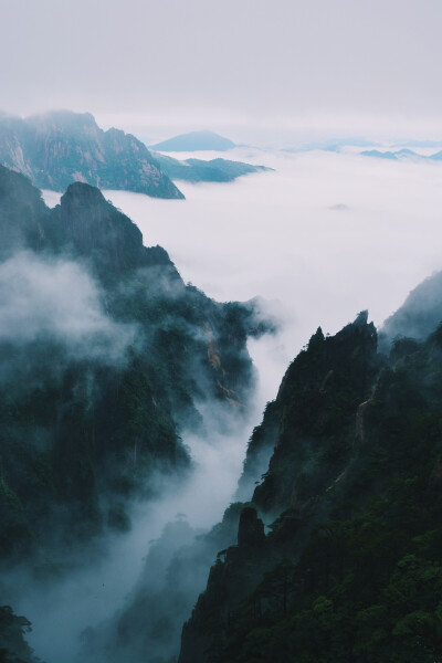 风景