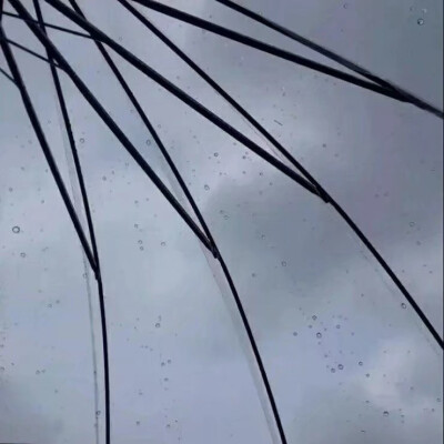 tomorrow will be sunny. 