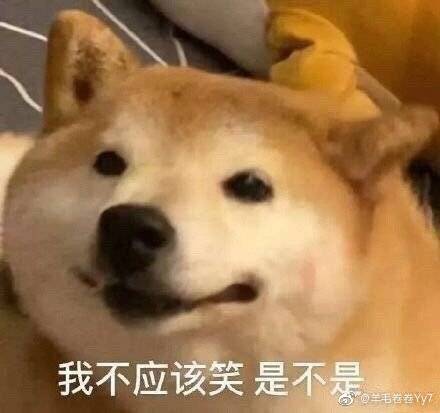 狗