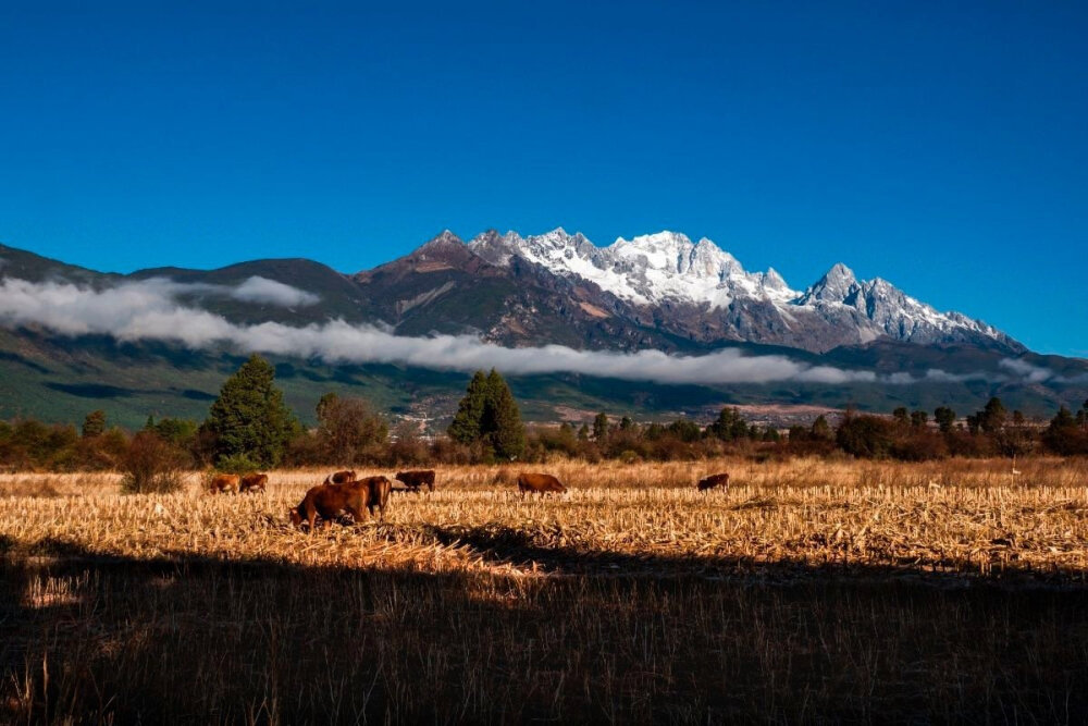 玉龙雪山