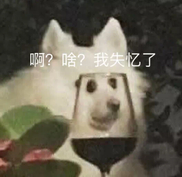 表情