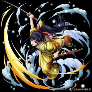 海贼王赏金猎人