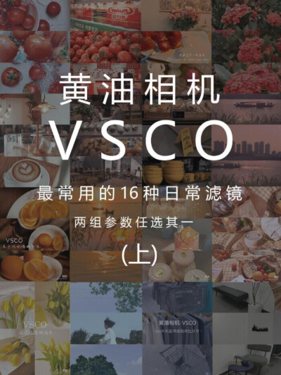 黄油相机&VSCO
最常用的16种滤镜（上）