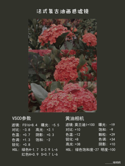 黄油相机&VSCO
最常用的16种滤镜（上）