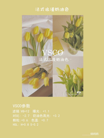 黄油相机&VSCO
最常用的16种滤镜（上）