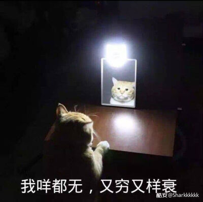 衰样