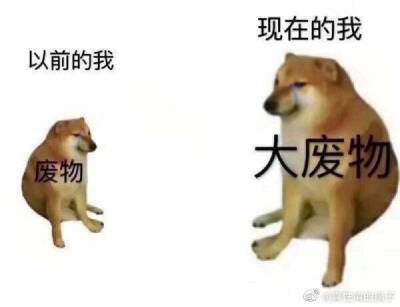 表情包