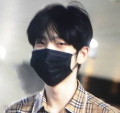 每一片雪花都是冬天的来信。