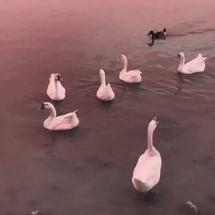 -
或许.我们的距离.并不远. °边伯贤
cr:CENTENARY9294