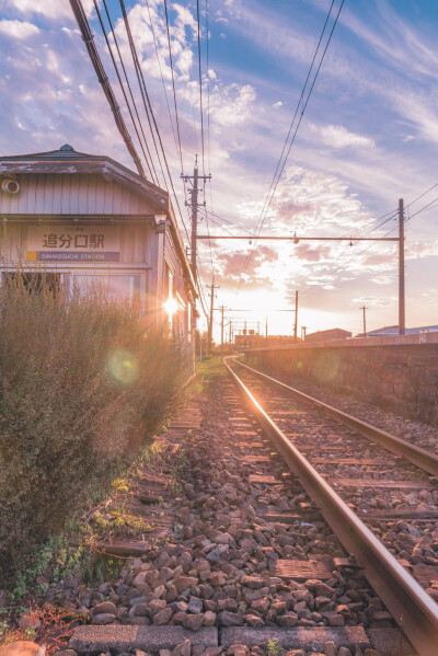 日本