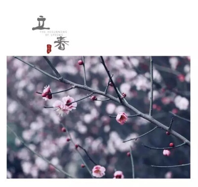 立春
