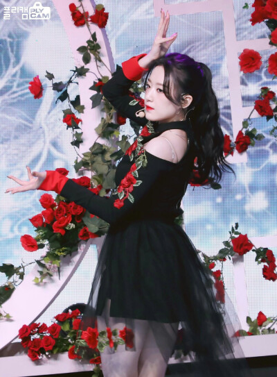 叶舒华。
logo。