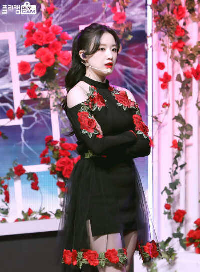 叶舒华。
logo。