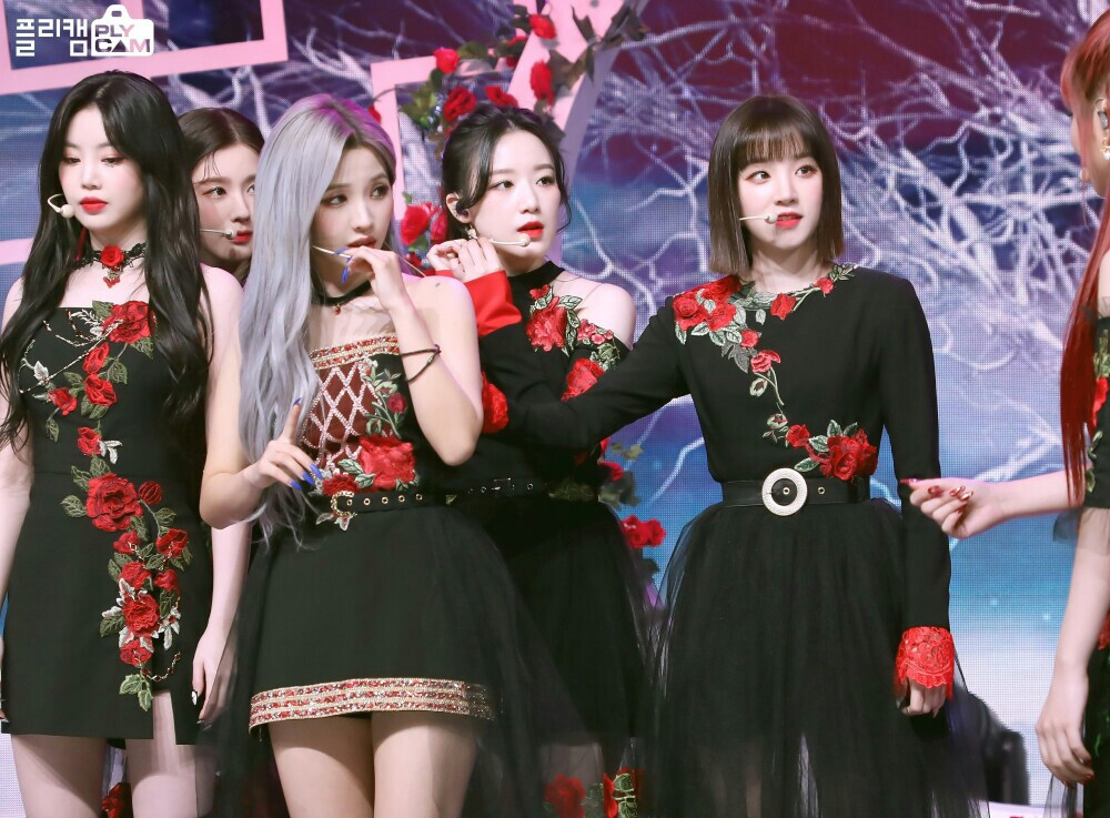 叶舒华。
logo。