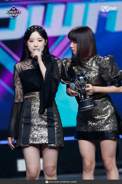 叶舒华。
logo。