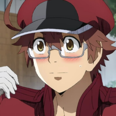 工作细胞black（自截）
红血球