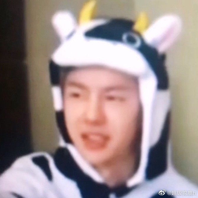 王老师的小表情一览