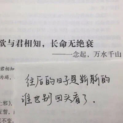 那些句子都与你有关