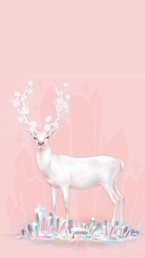 鹿壁纸 背景