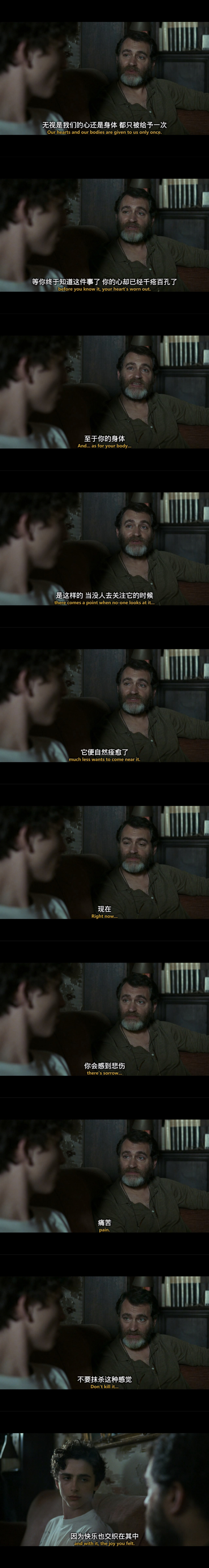 《请以你的名字呼唤我 Call Me By Your Name》