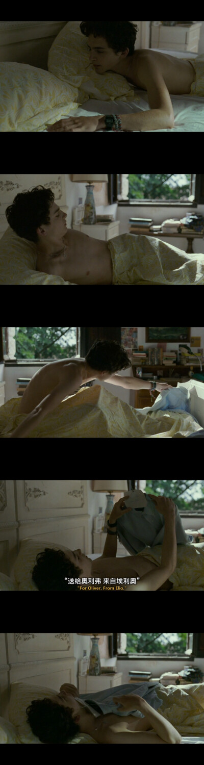 《请以你的名字呼唤我 Call Me By Your Name》