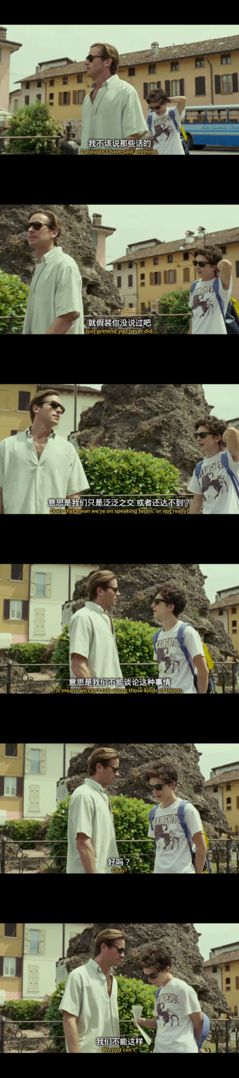 《请以你的名字呼唤我 Call Me By Your Name》