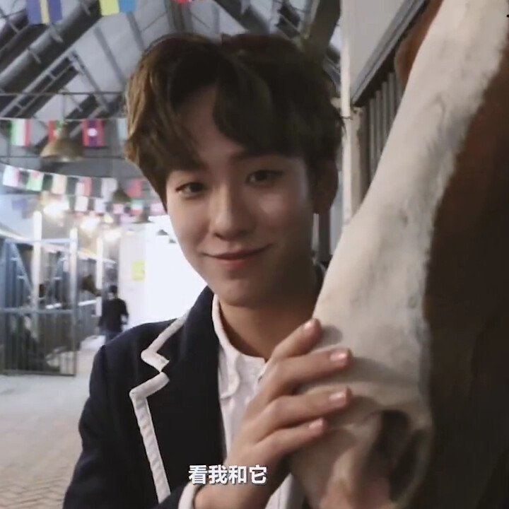 二改注明北楼春樱轻 别注评论