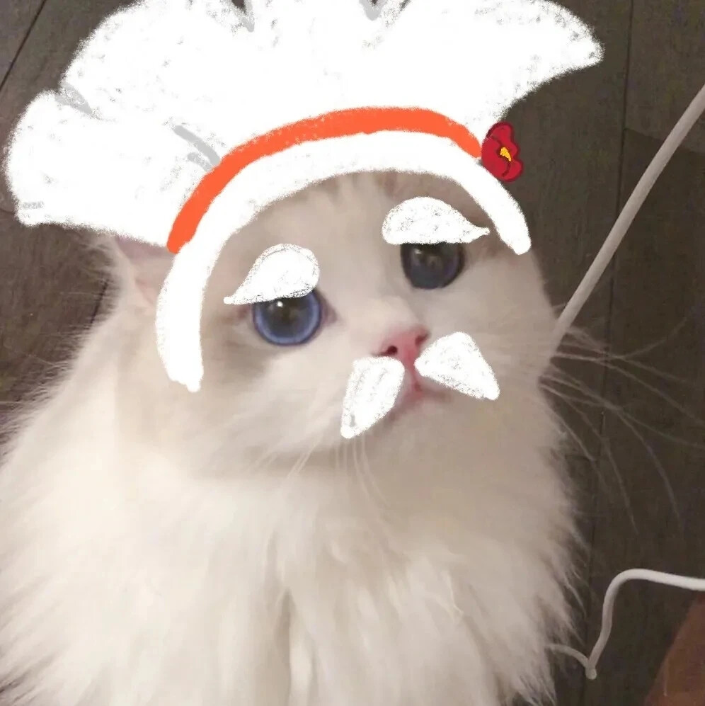 猫咪版光遇团头
作者源vb 大眼猫猫
猫咪源vb 吴kiwi是一只布偶