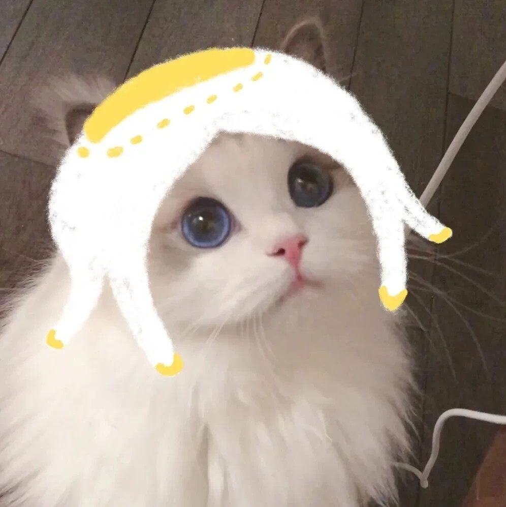 猫咪版光遇团头
作者源vb 大眼猫猫
猫咪源vb 吴kiwi是一只布偶