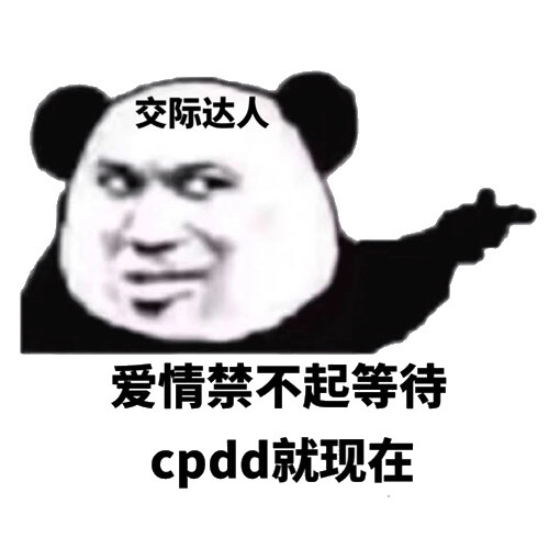 cpdd就现在 爱情经不起等待