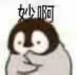 或许可以称其为小表情