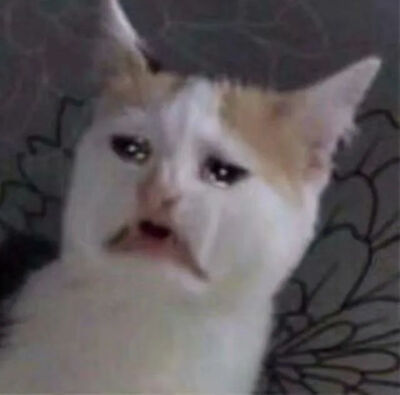 或许可以称其为小表情