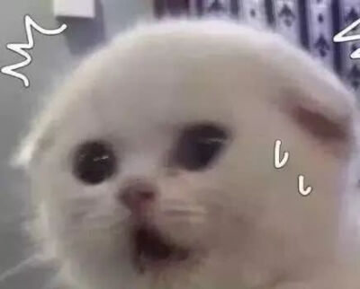 或许可以称其为小表情