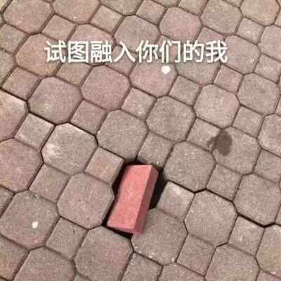 或许可以称其为小表情