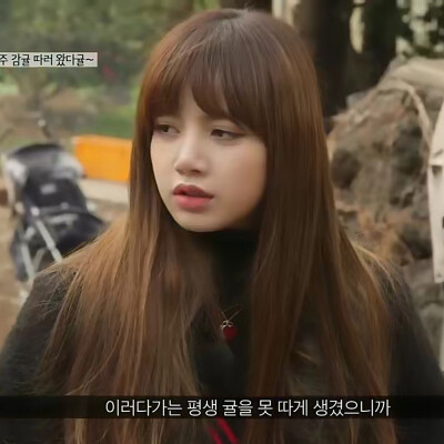 Lisa可二改
二改注明星河邮递