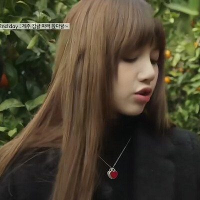 Lisa可二改
二改注明星河邮递