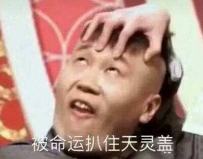 德云社表情包分享