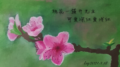 我的水彩画作品 桃花