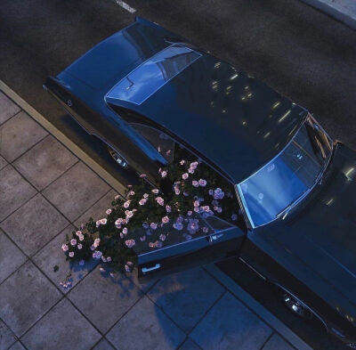 头像 风景 壁纸 