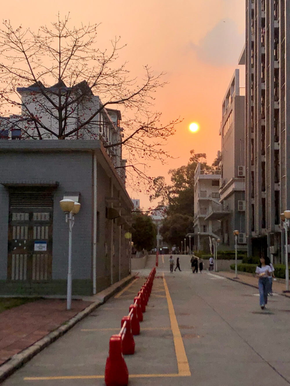 学校滴日常