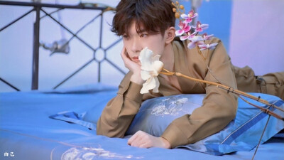 易烊千玺 罗莱家纺品牌代言人 花儿与少年