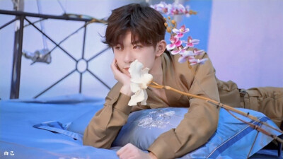 易烊千玺 罗莱家纺品牌代言人 花儿与少年