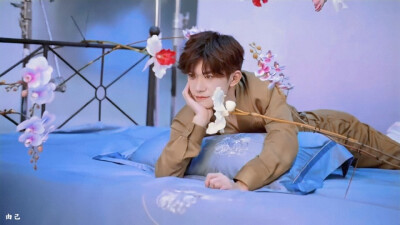 易烊千玺 罗莱家纺品牌代言人 花儿与少年