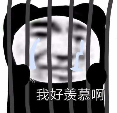 dt江绾柒