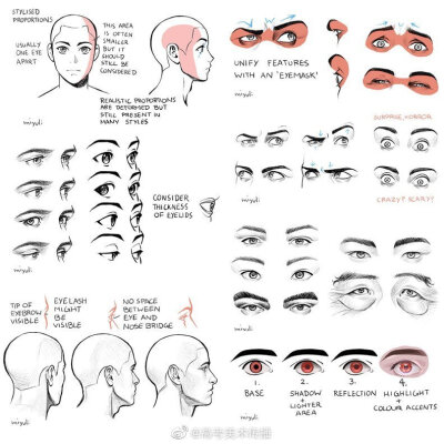 不同角度眼睛参考
