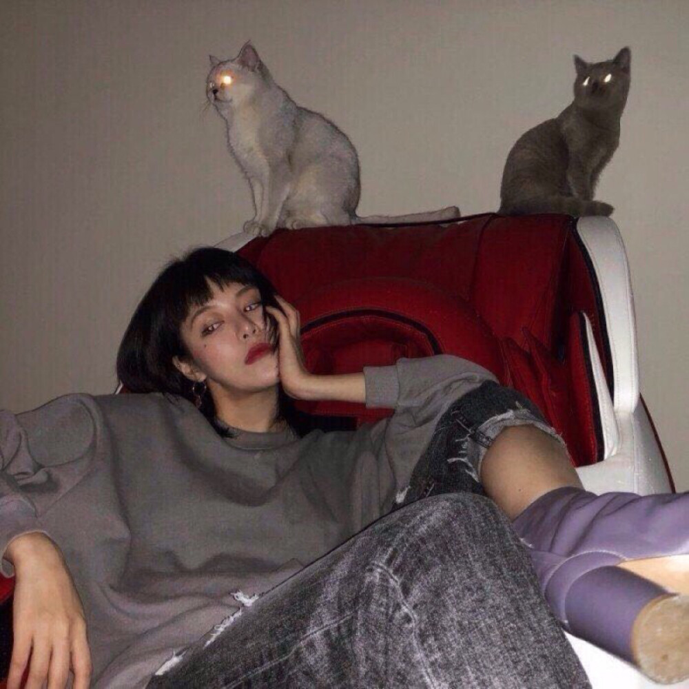 今天更新的有点频繁
就喜欢这种酷拽甜带点沙雕的头像啦