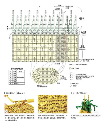 菠萝包